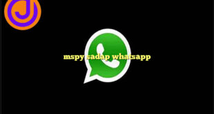 mspy sadap whatsapp